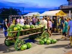 IL FESTIVAL DELL'ANGURIA